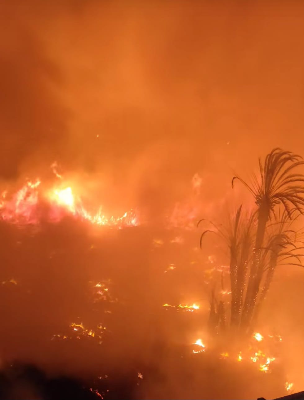 اندلاع حريق مخلفات وأشجار فى منطقة المنيب (5)