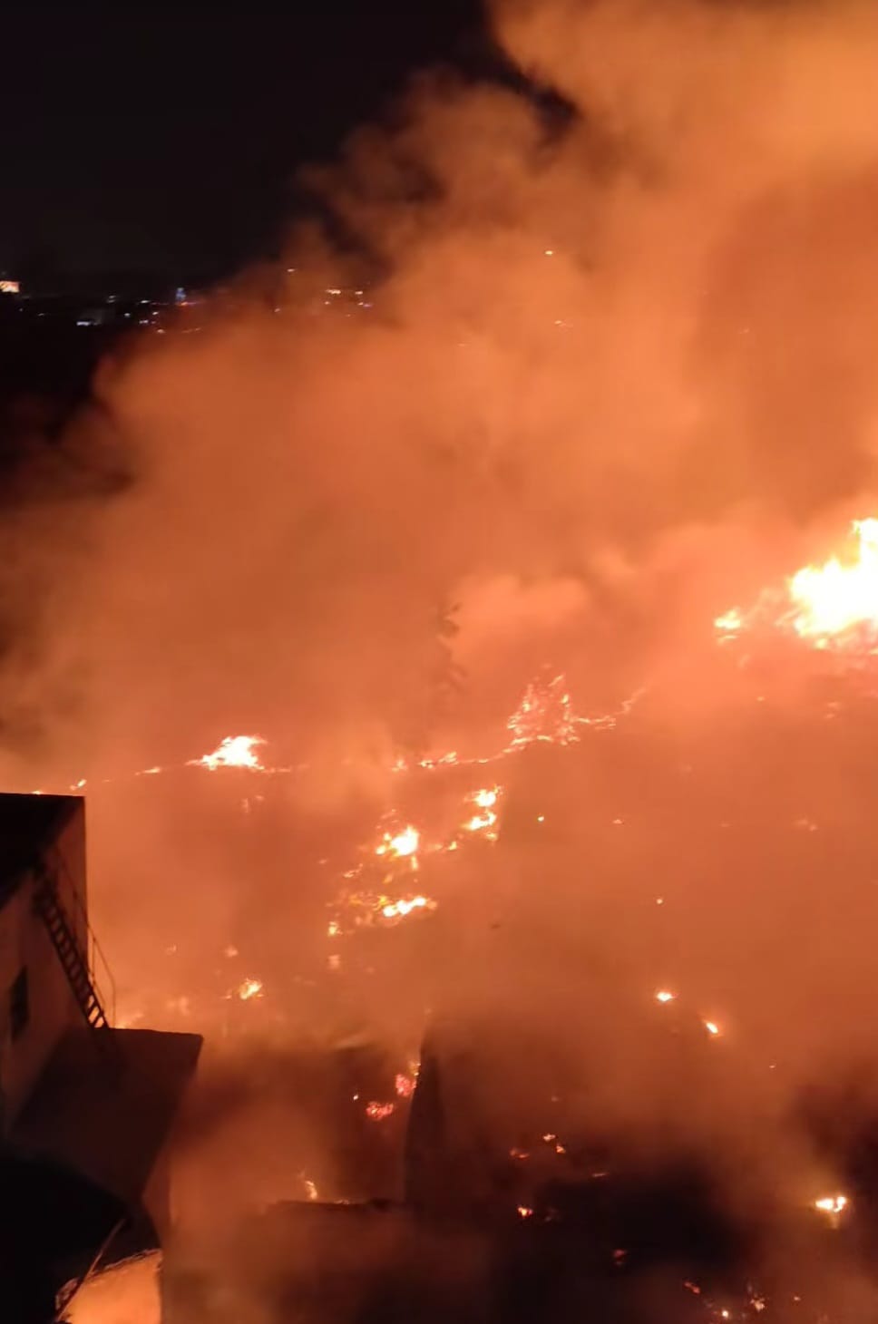 اندلاع حريق مخلفات وأشجار فى منطقة المنيب (6)