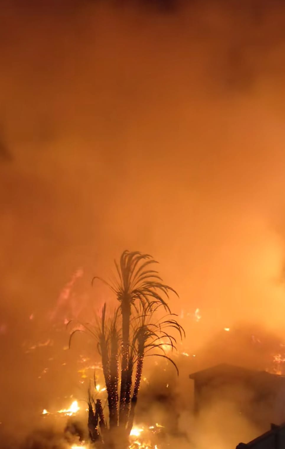 اندلاع حريق مخلفات وأشجار فى منطقة المنيب (4)