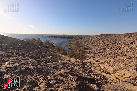 الطبيعة-خلف-البحيرة