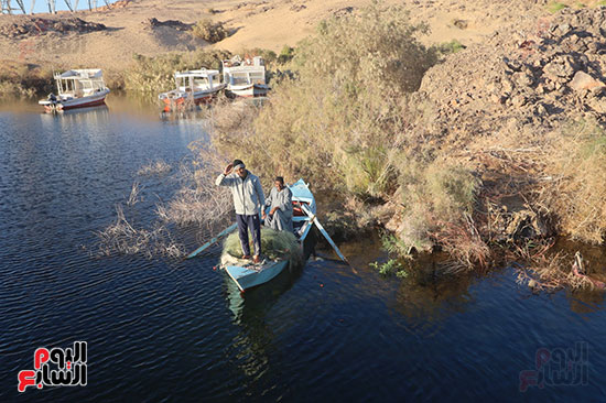 صيادو-الأسماك_1