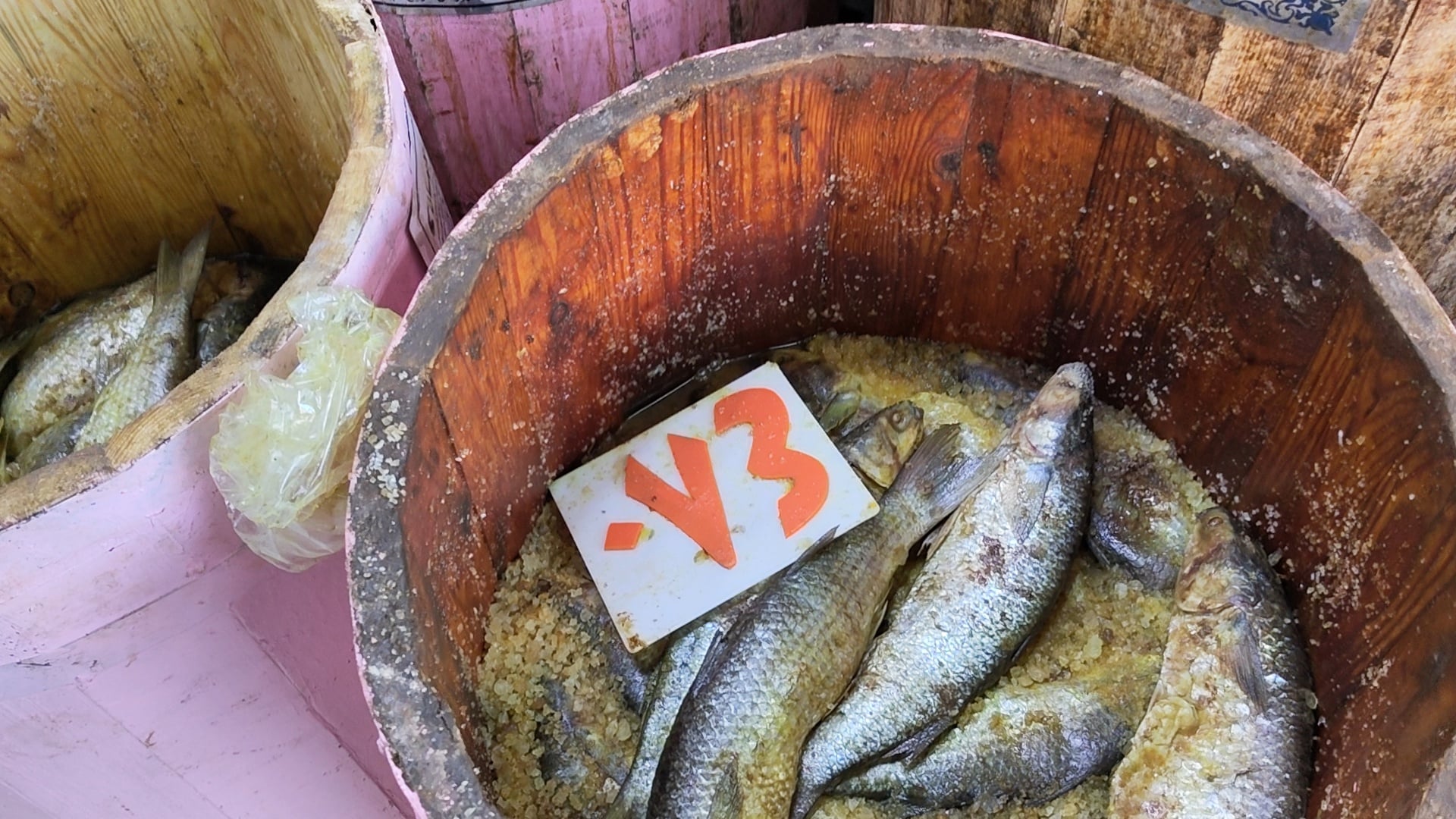 الفسيخ ذات الملوحة عاليه