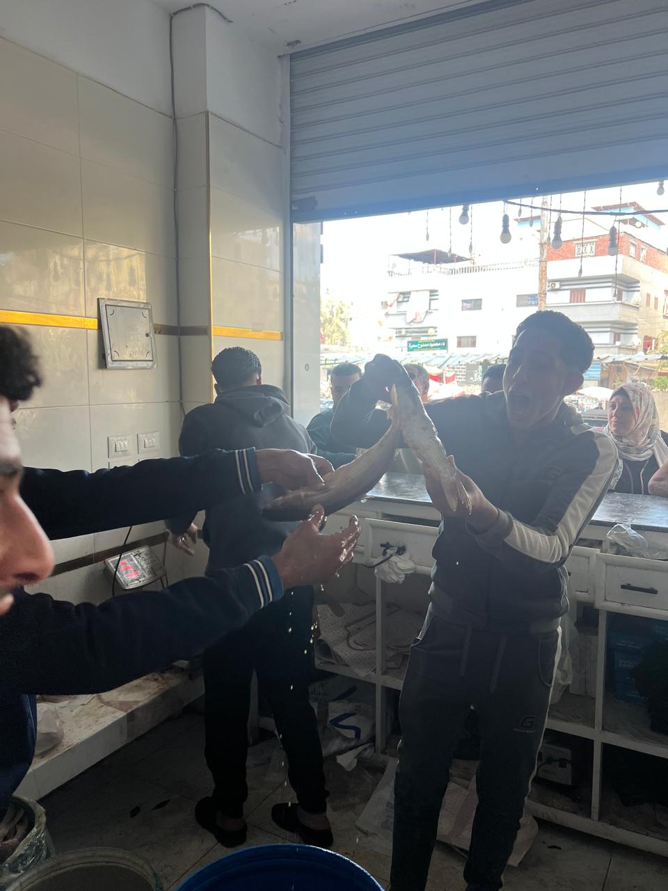 إقبال علي الفسيخ