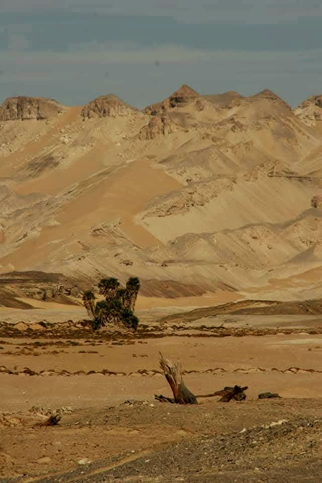 موقع طبيعى لم يتغير بمرور السنين فى ام الدبادب موقع طبيعى لم يتغير بمرور السنين فى ام الدبادب