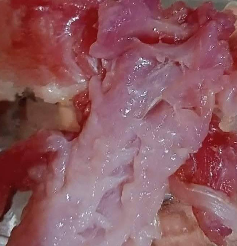 لحم السمكة وردي وليست سوداء