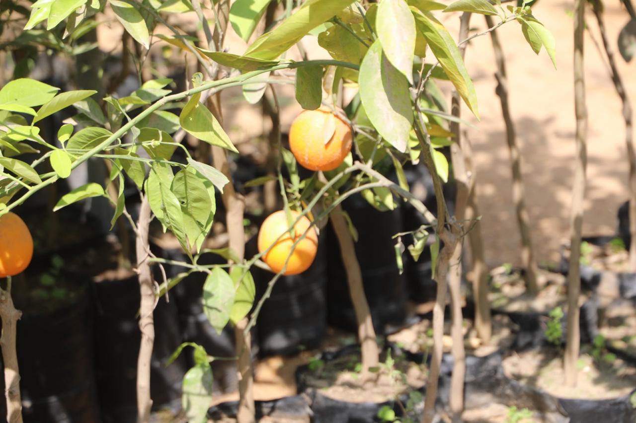 WhatsApp Image 2026-04-12 at 2.16.22 PM (1)