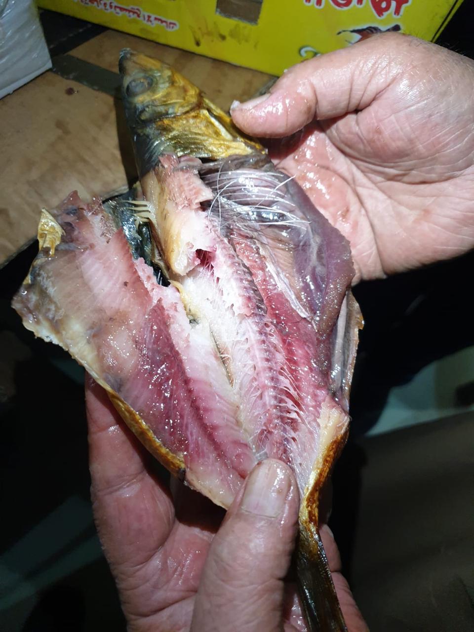 14759be9-3c86-4977-8983-4bfebac352a8