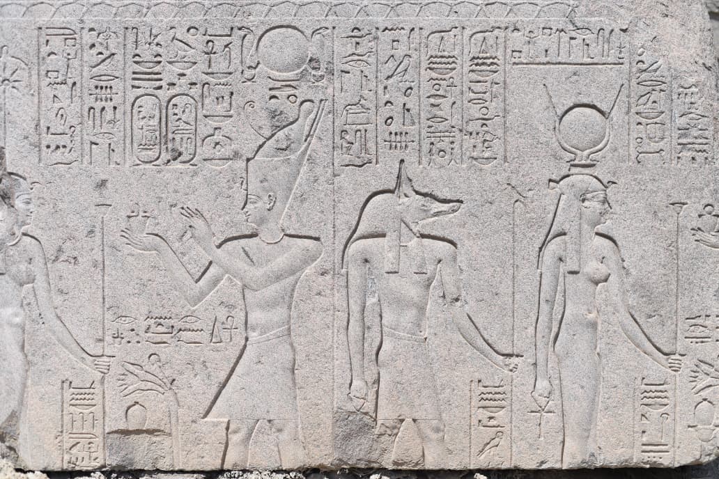 زيارة المسؤولين والخبراء الأجانب للموقع