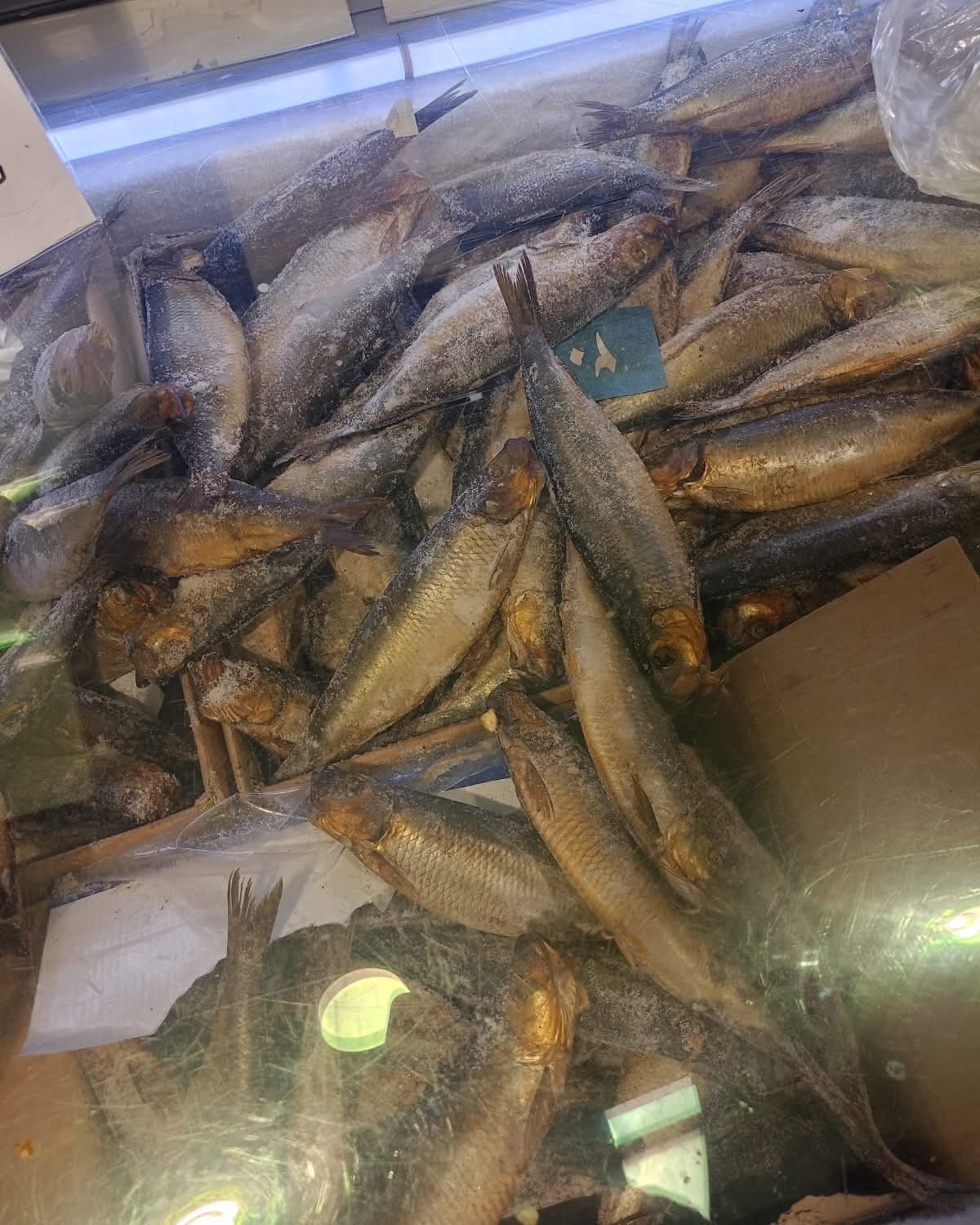 FB_IMG_1775983082694