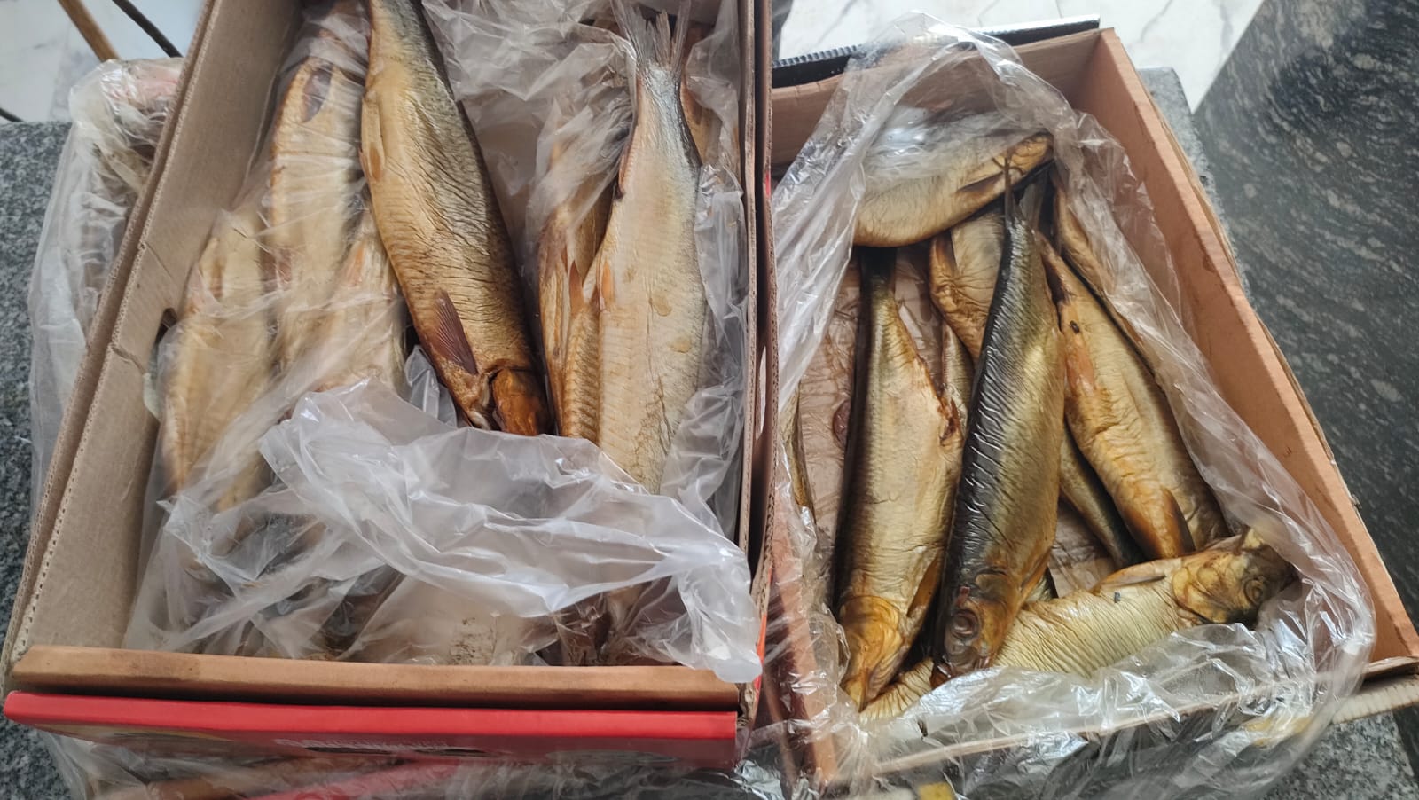 رنجه شم النسيم