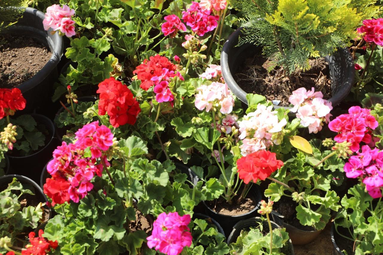 WhatsApp Image 2026-04-12 at 2.16.24 PM