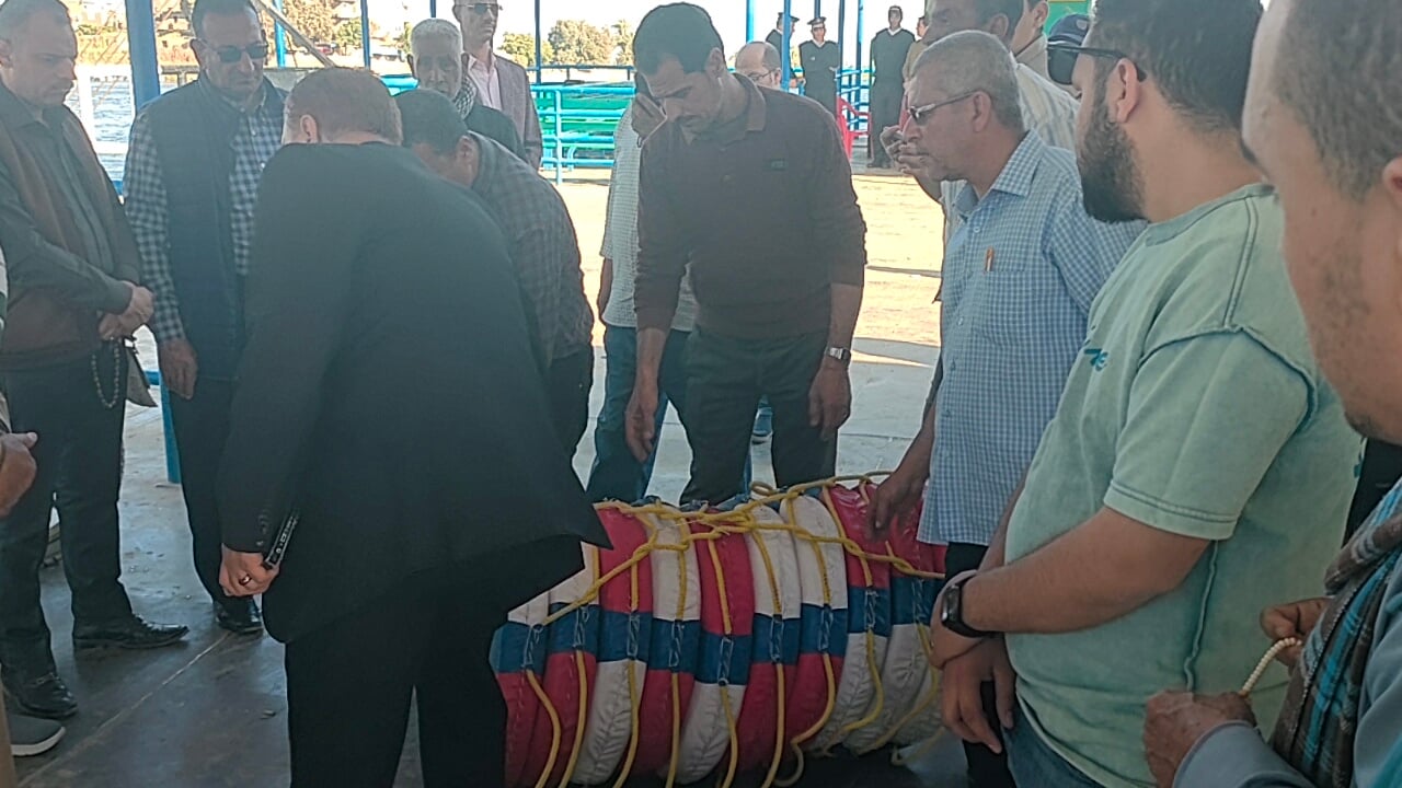 فحص اطواق النجاه