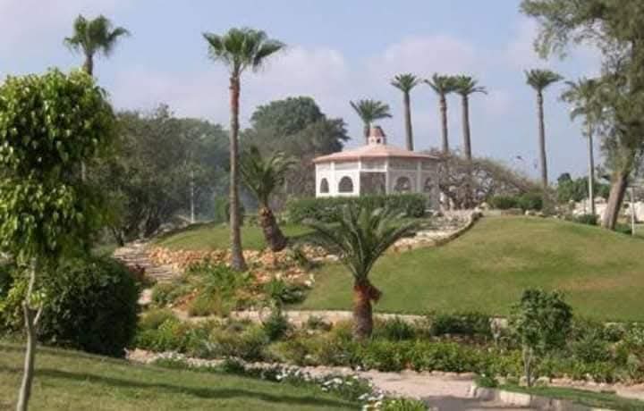 انطونيادس بالإسكندرية