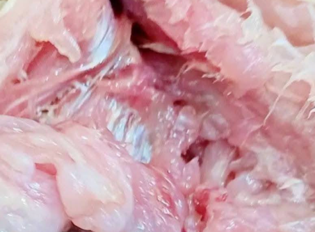 خلو لحم السمكة من الشوائب