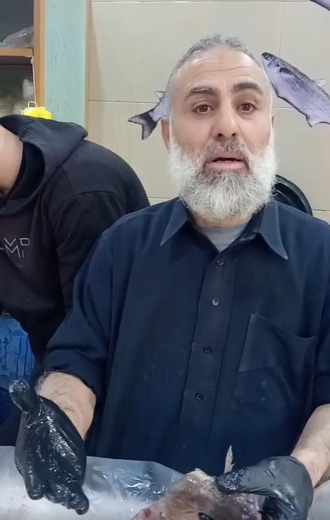 السمك البوري أنواع ولابد من اختيار السمكة المتميزة