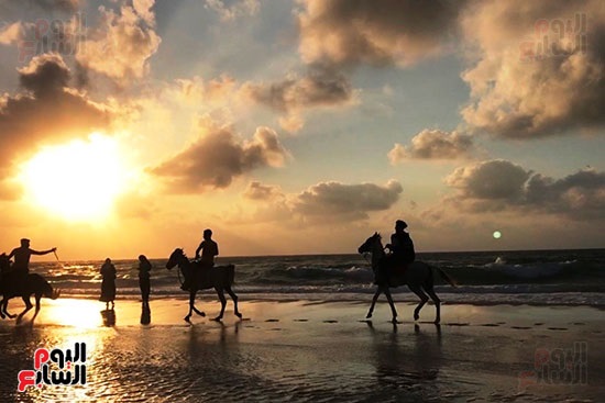 التنزة بالخيول على الشواطىء