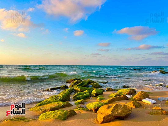 بحر-الشيخ-زويد-