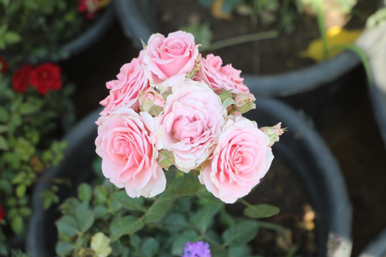 WhatsApp Image 2026-04-12 at 2.16.22 PM