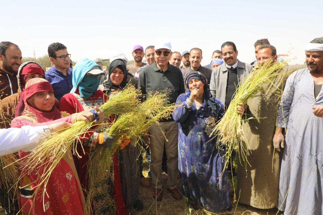 فرحة المزارعين بالكتان فرحة المزارعين بالكتان