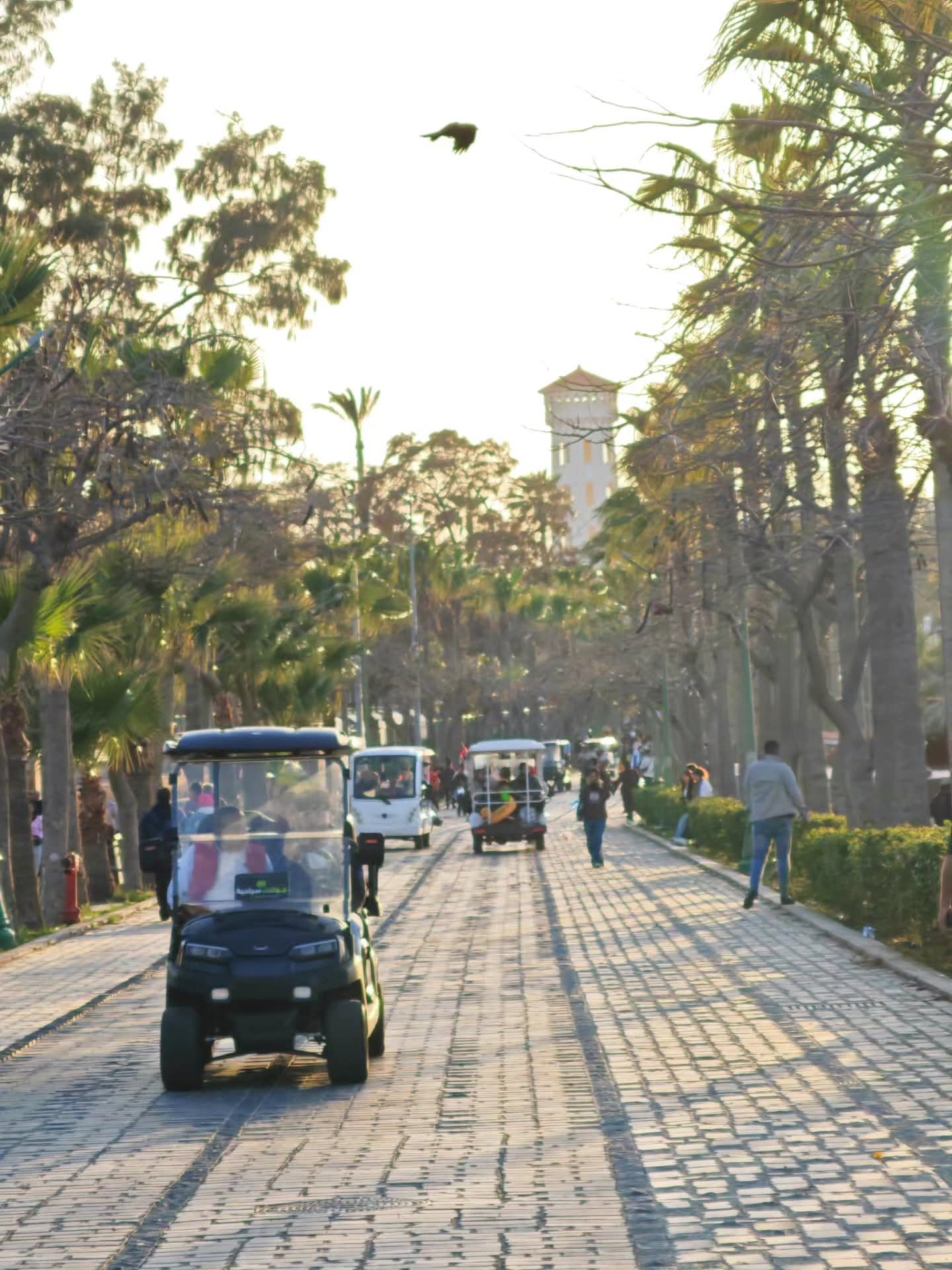 توصيل المواطنين الى داخل الحديقة