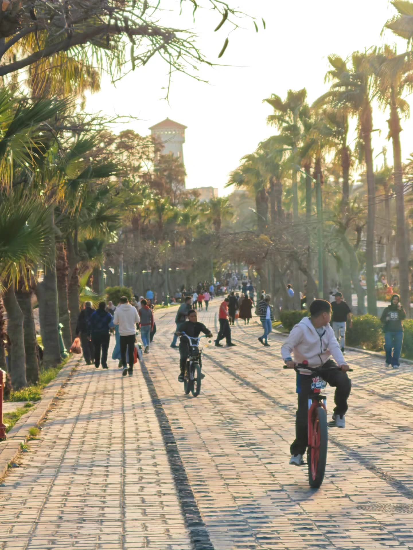 ركوب العجل فى الحديقة