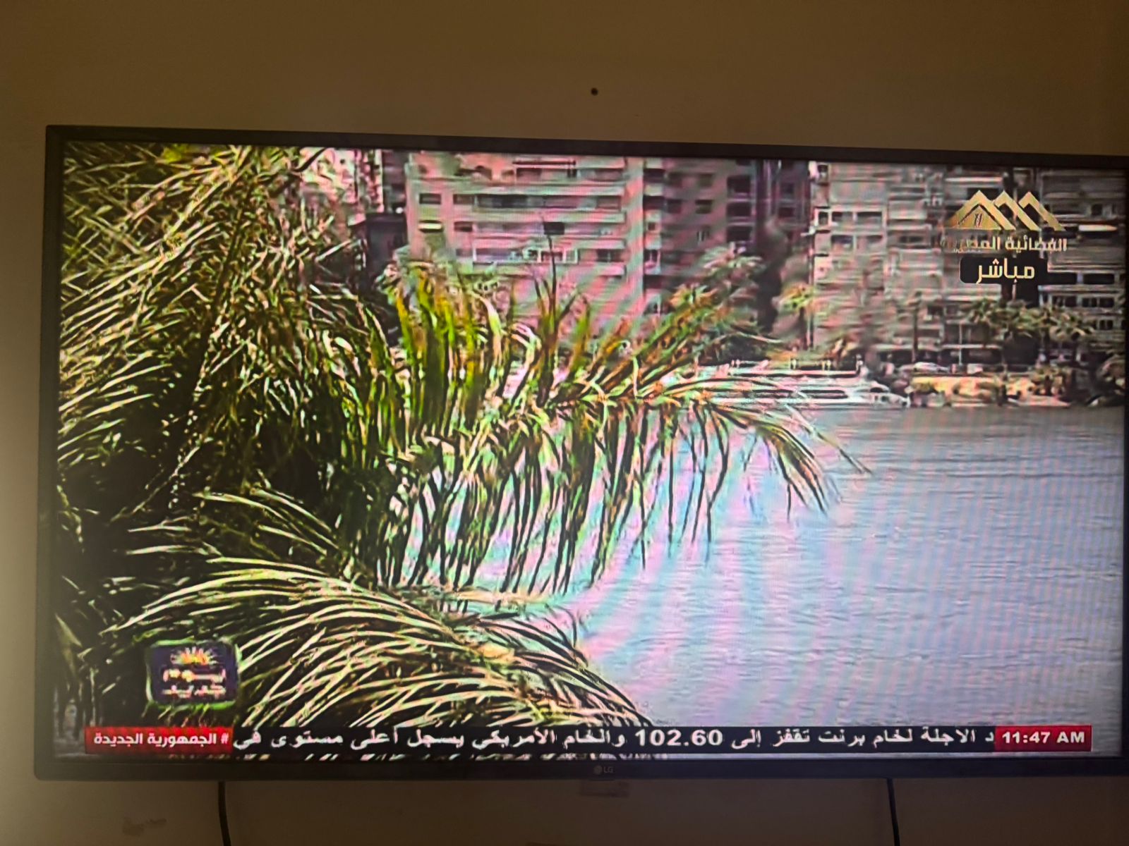 احتفالات شم النسيم من استديو ماسبيرو النهرى (3)