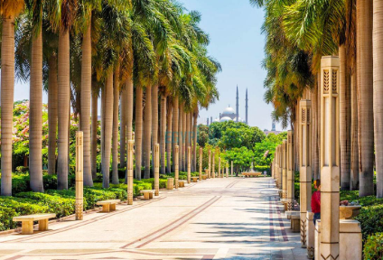 حديقة الازهر 