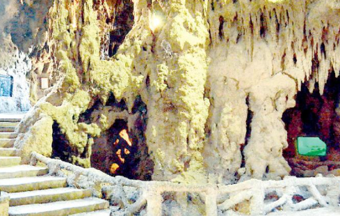 حديقة الاسماك 