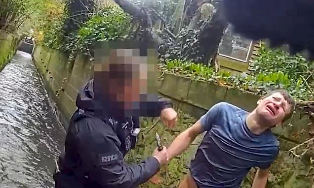 بعد المطاردة