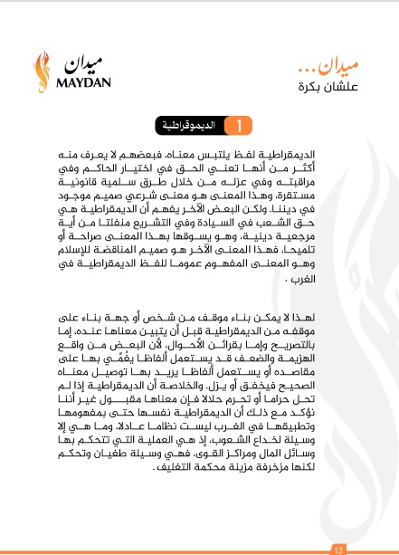 وثيقة مبادئ الديمقراطية داخل حركة ميدان