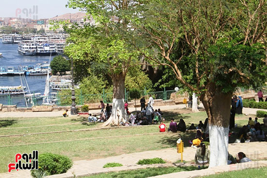 الحديقة-فى-المناسبات-تستقبل-المواطنين