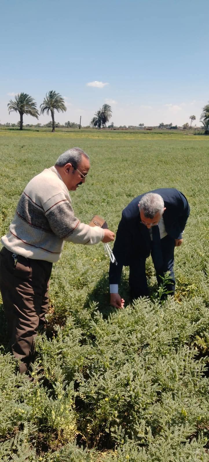 النباتات العطرية والطبية (2)