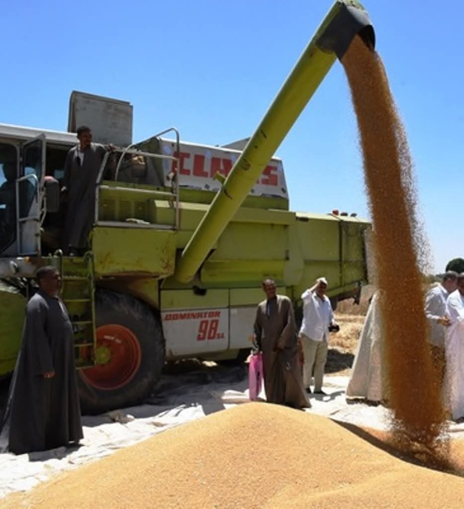 موسم الحصاد موسم الحصاد