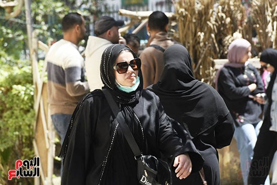 جنازة المستشار بهى الدين (2)