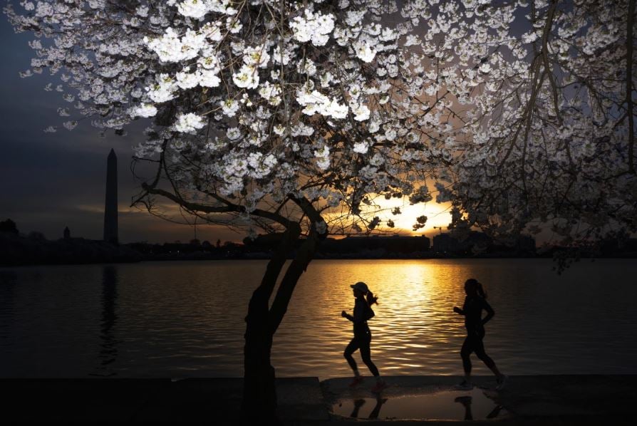 الكاميرا حول العالم.. أجمل اللقطات فى أسبوع احتفالات الربيع  (7)