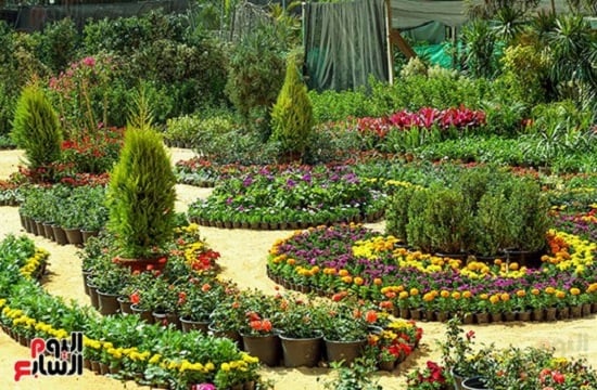 فوائد التجول بمعرض الزهور