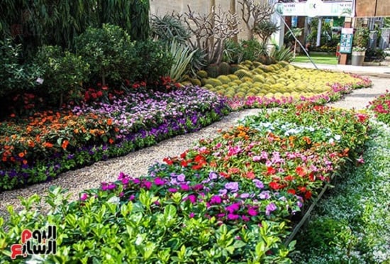 معرض الزهور- أرشيفية