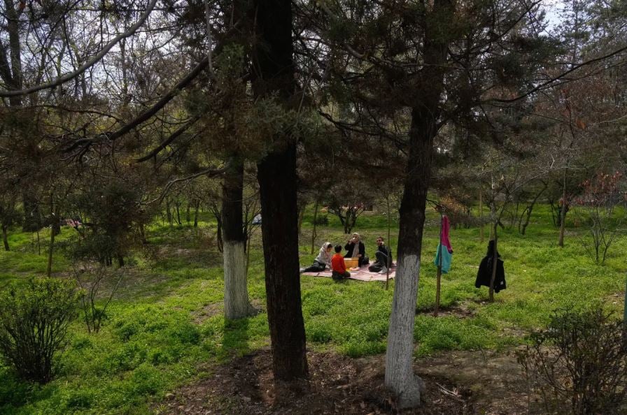 الكاميرا حول العالم.. أجمل اللقطات فى أسبوع احتفالات الربيع  (2)