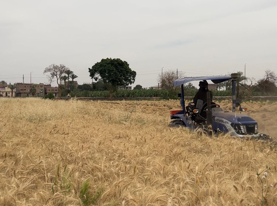 آلة الحصاد في الزراعات