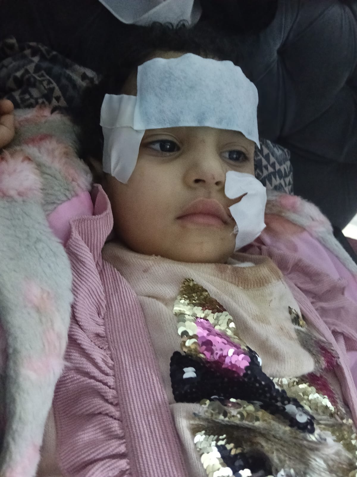 WhatsApp Image 2026-04-15 at 3.41.40 AM (2)