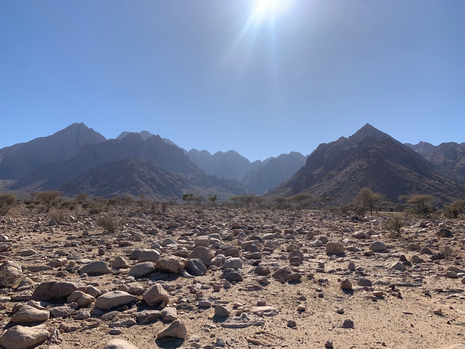 محمية علبة جنوب البحر الاحمر،