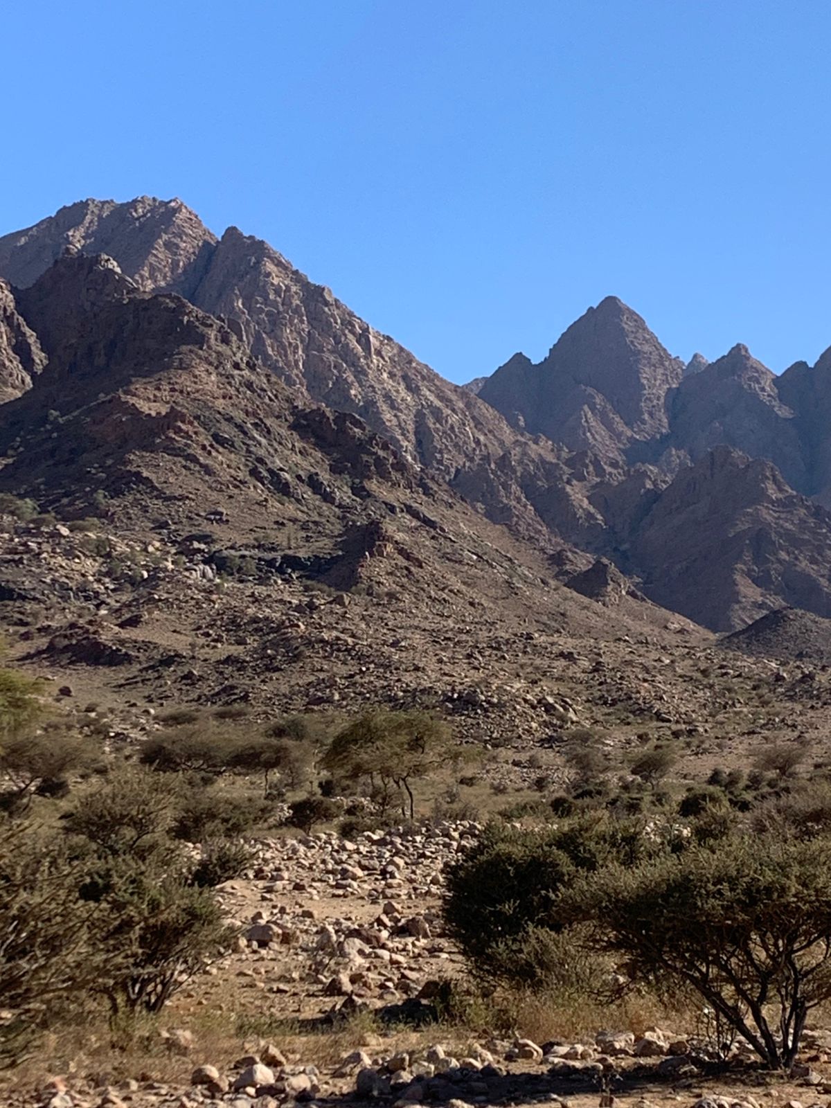 قمم الجبال فى حلايب