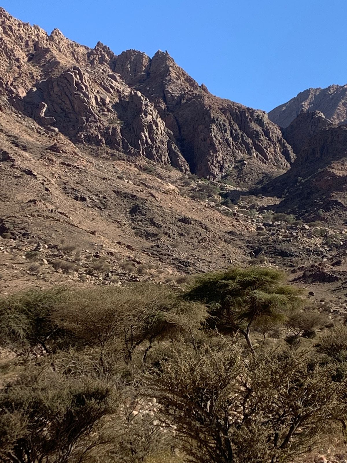 قمم جبال علبه 