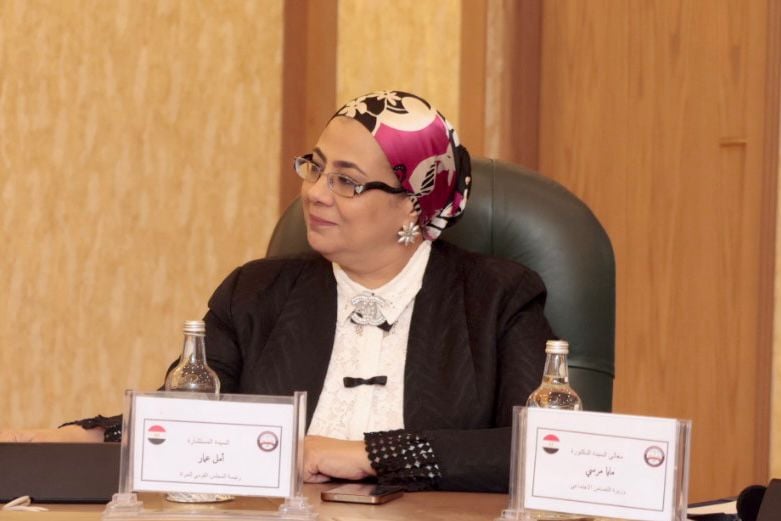 المستشارة أمل عمار رئيسة المجلس القومى للمرأة