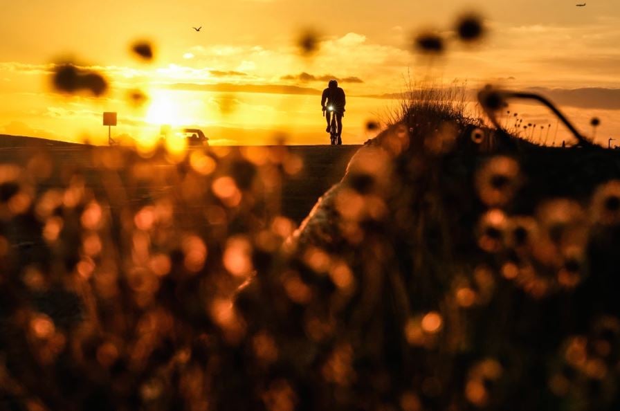 الكاميرا حول العالم.. أجمل اللقطات فى أسبوع احتفالات الربيع  (6)