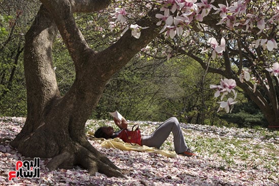 ممارسة القراءة