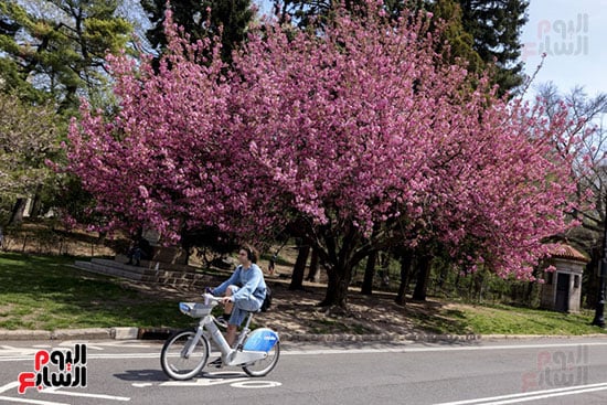 ركوب الدرجات فى أجواء الربيع