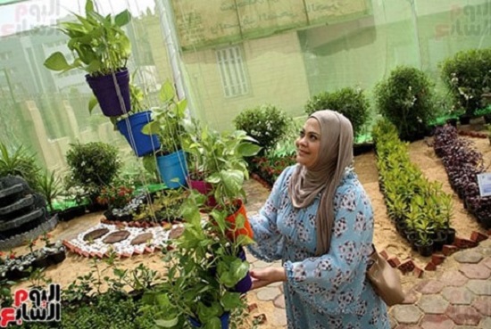 معرض الزهور- صورة أرشيفية