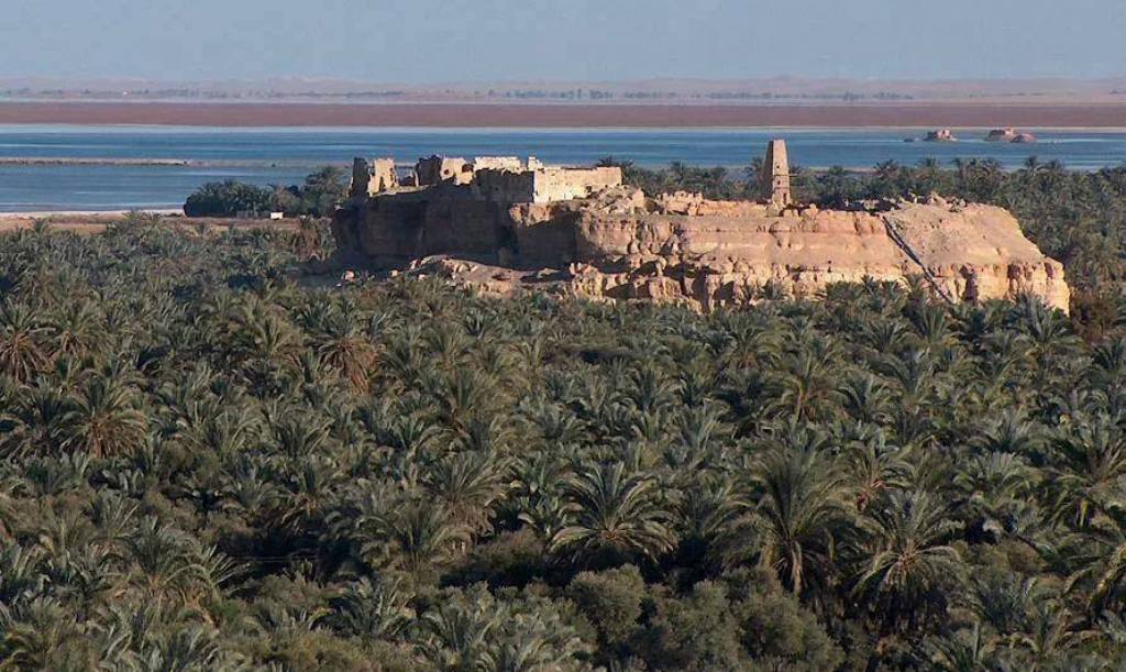 سيوة