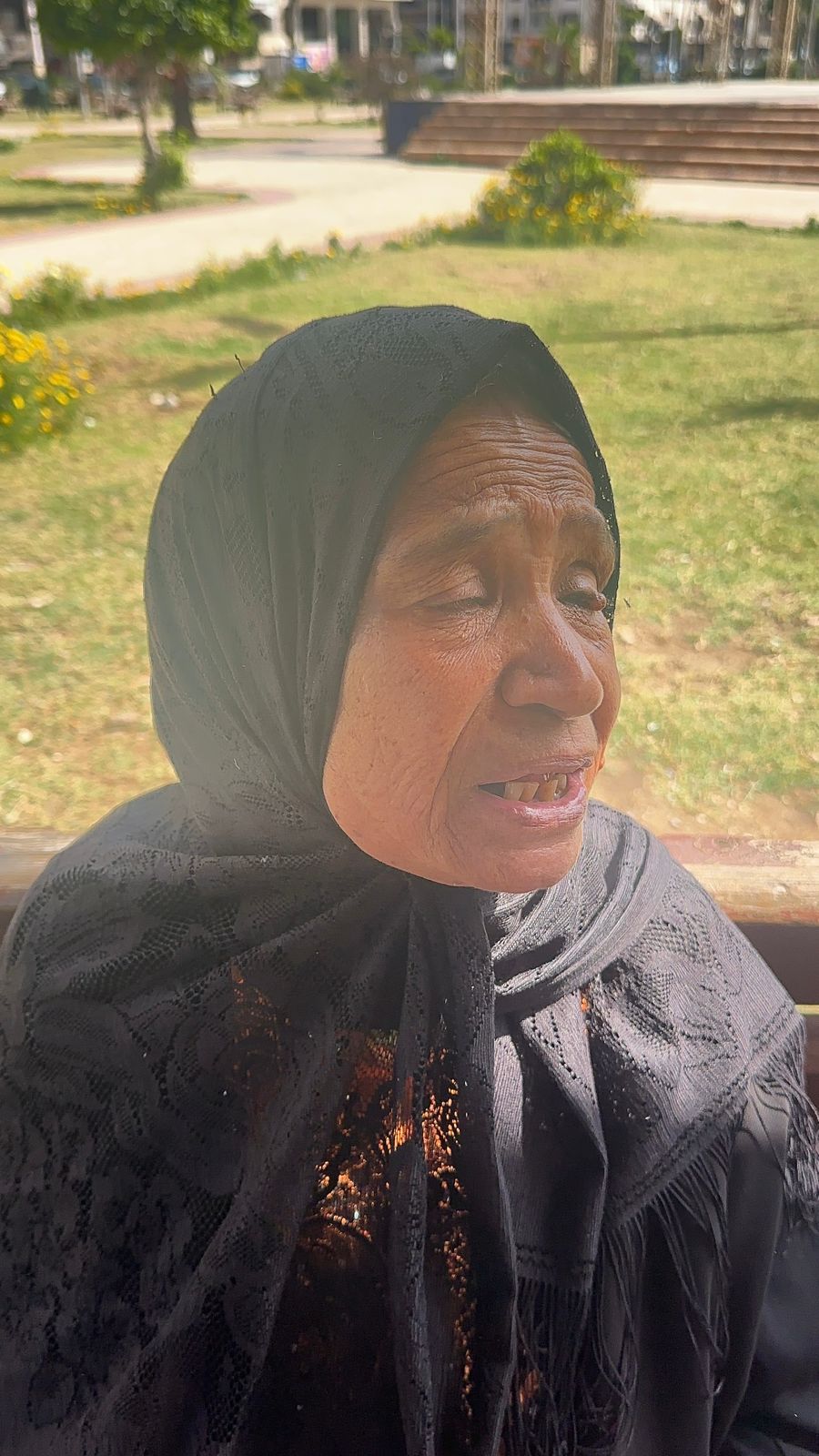 السيدة وفاء